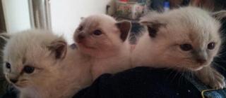 20130417_083807-1.jpg
